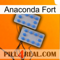 Anaconda Strong 20